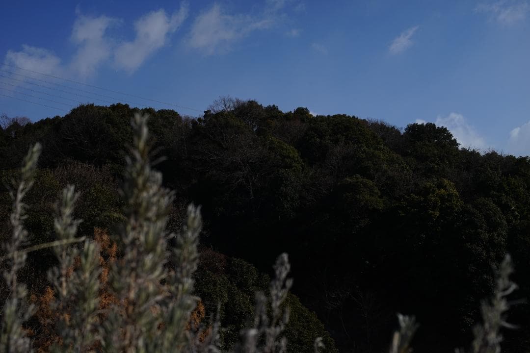 Nikon FE / Ai改 Nikkor 50mm f1.4