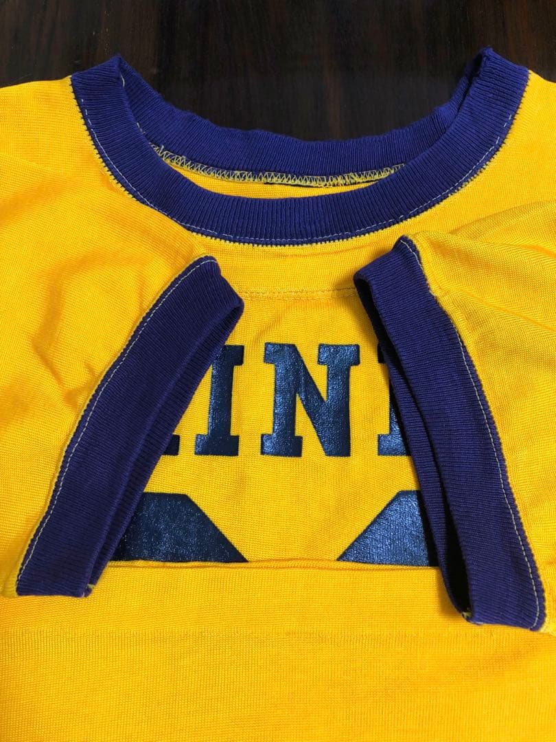 60sチャンピオン　フットボール　Tシャツ　カレッジ　70s 80s ナス紺