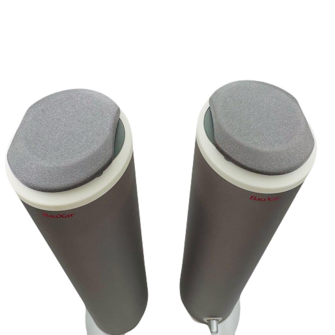 BauXar Jupity301 アンプ内蔵タワー型 タイムドメイン スピーカー