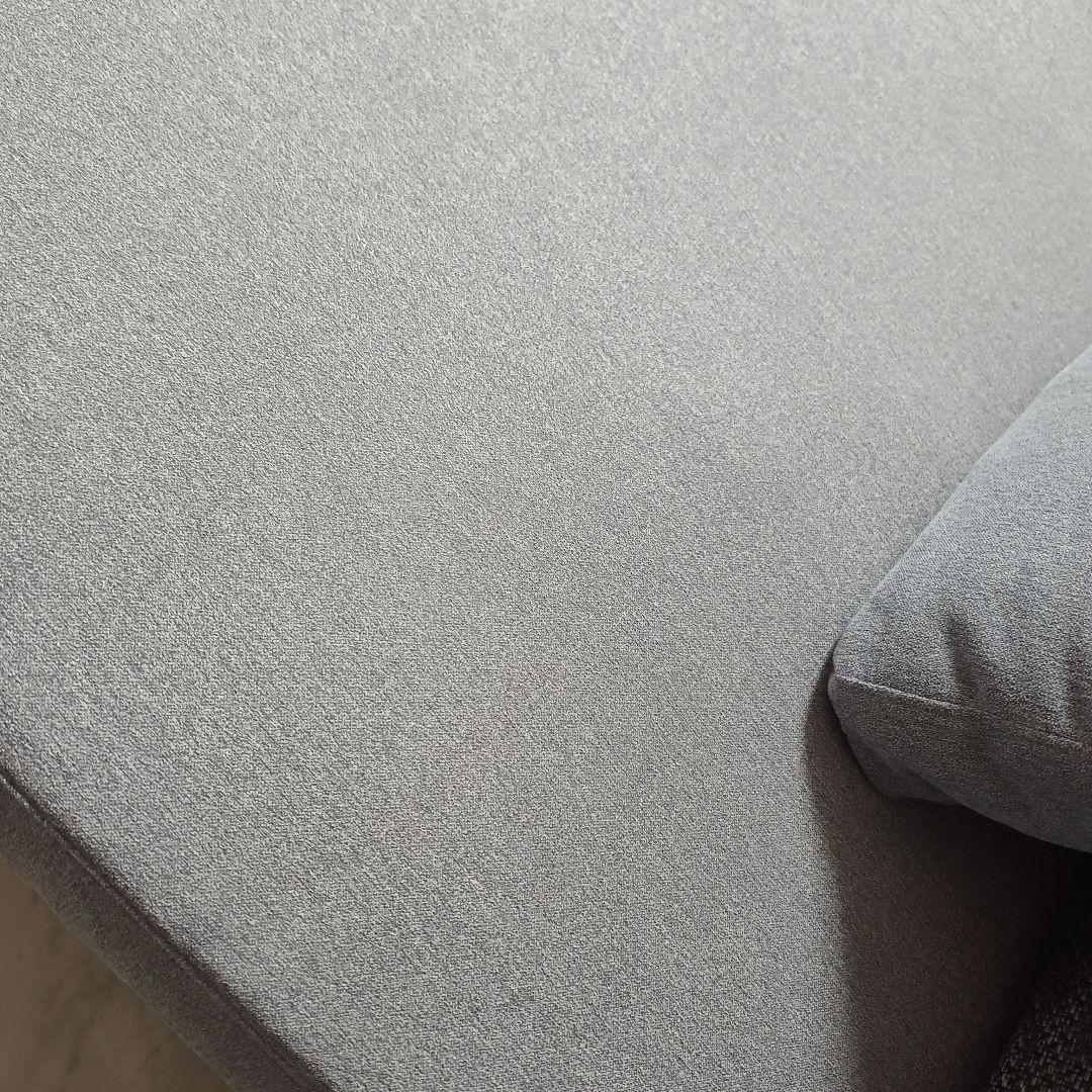 【引き取り希望】フランスベッド ソファーベッドレジーファRegifa家具 グレー