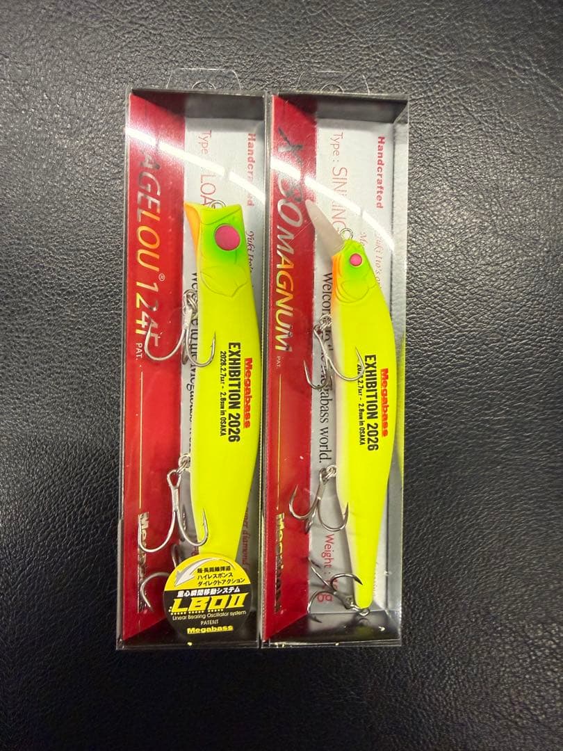 MAGNUM EXHIBITION 2025 エキシビション　カゲロウ　x 80