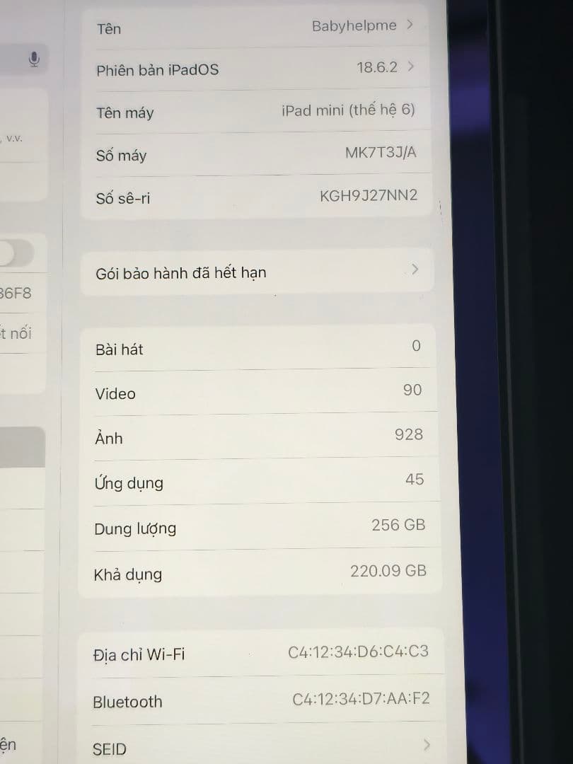 iPad mini (第6世代) 256GB グレー
