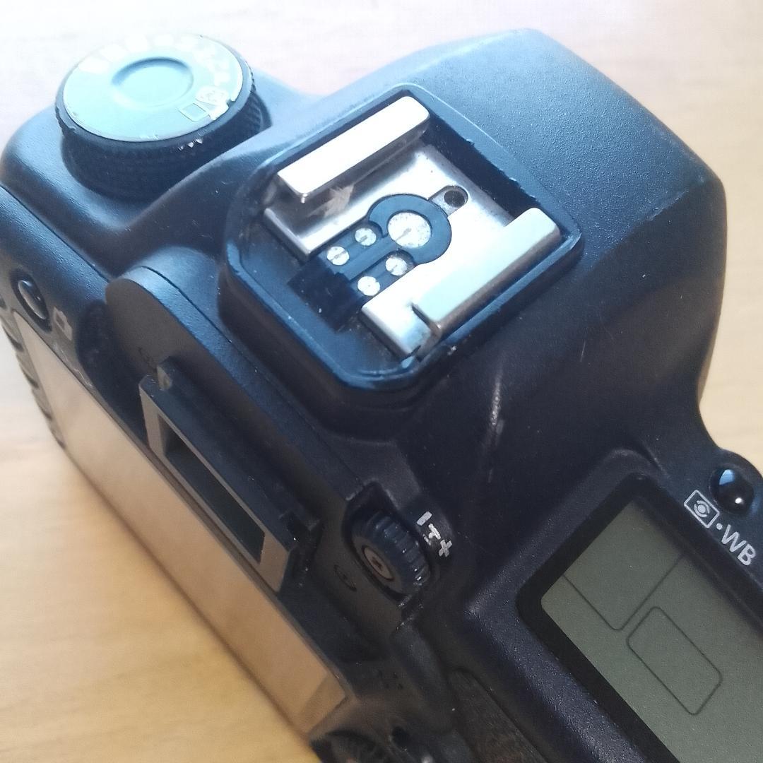 Canon デジタル一眼レフカメラ EOS 5D MarkⅡ