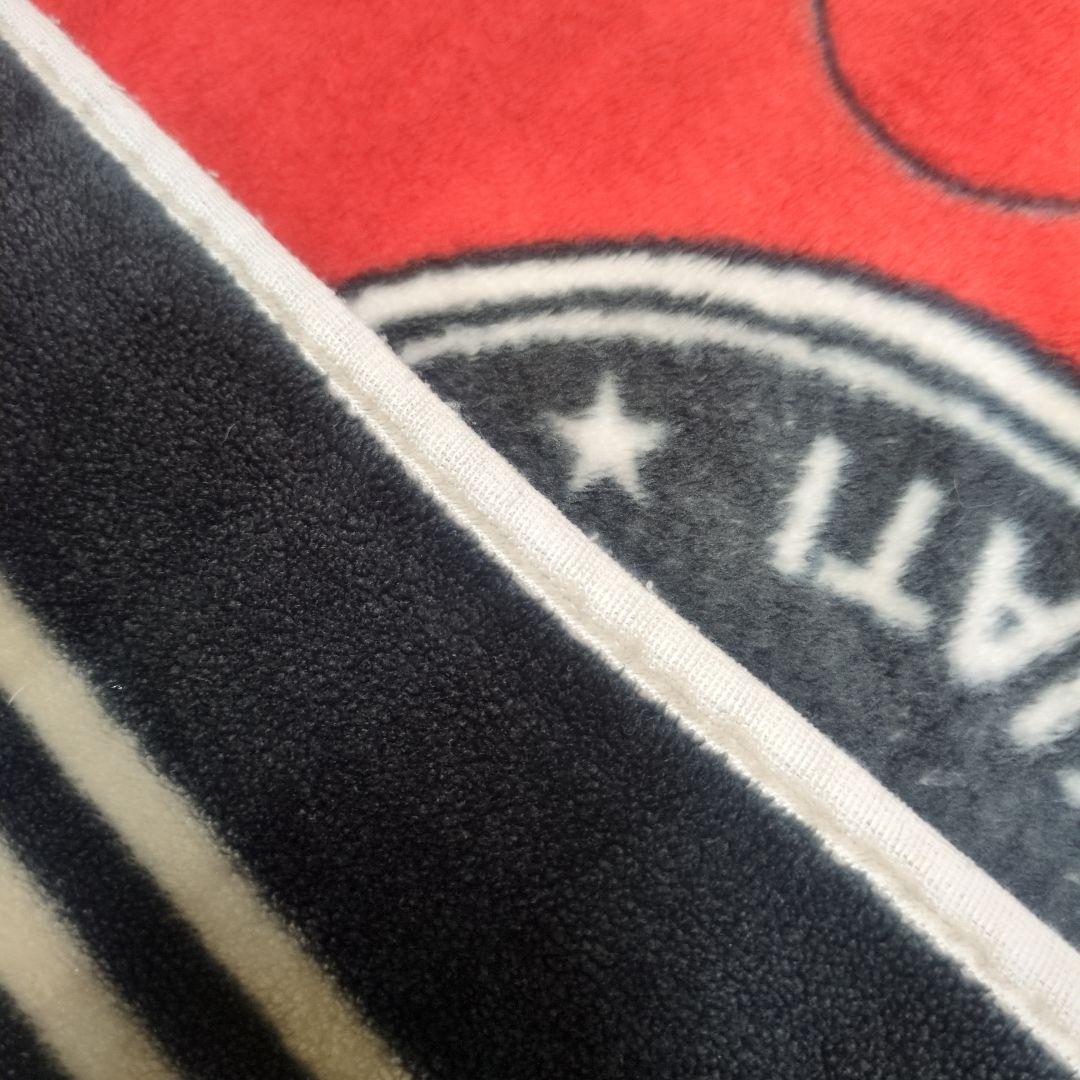 FENDI フェンディ ニューマイヤー ハーフ毛布 廃番 レア ブランケット