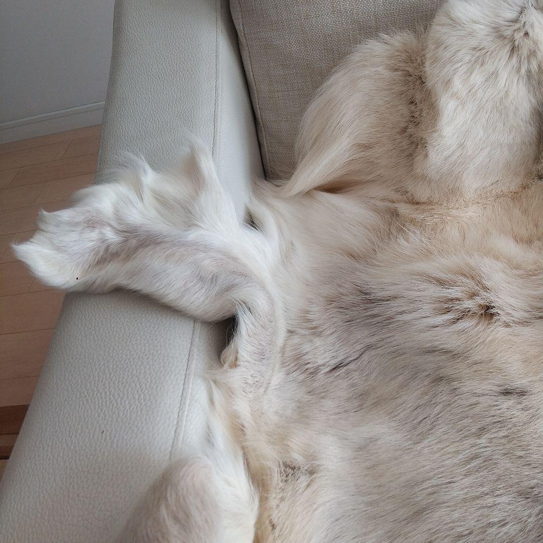 毛皮ラグ 大きめ