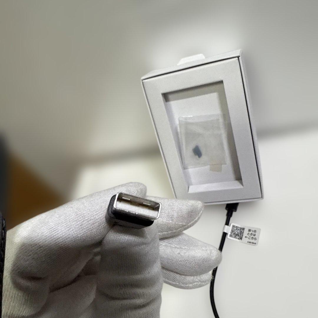 SONY WALKMAN NW-A106 ブルー