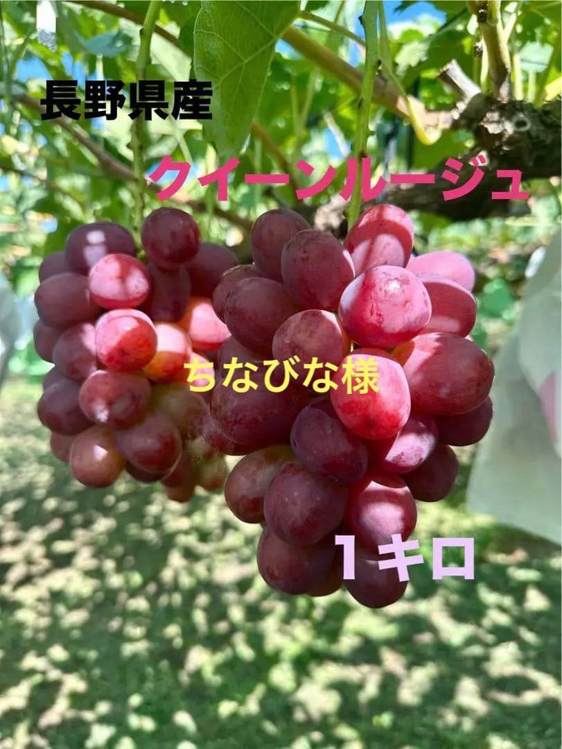 ちなびなページ