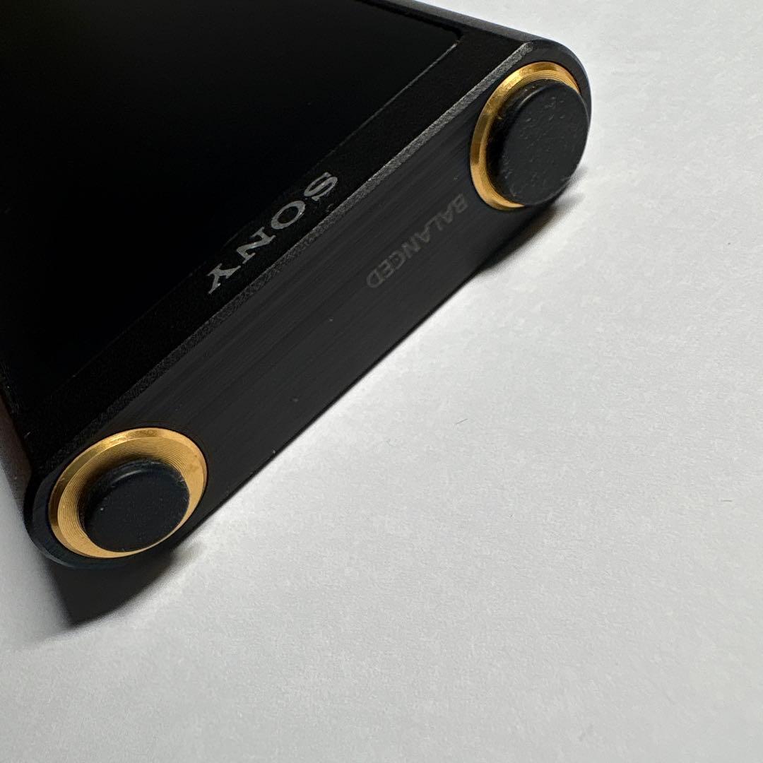 Sony WALKMAN ウォークマンNW-ZX300 64GB