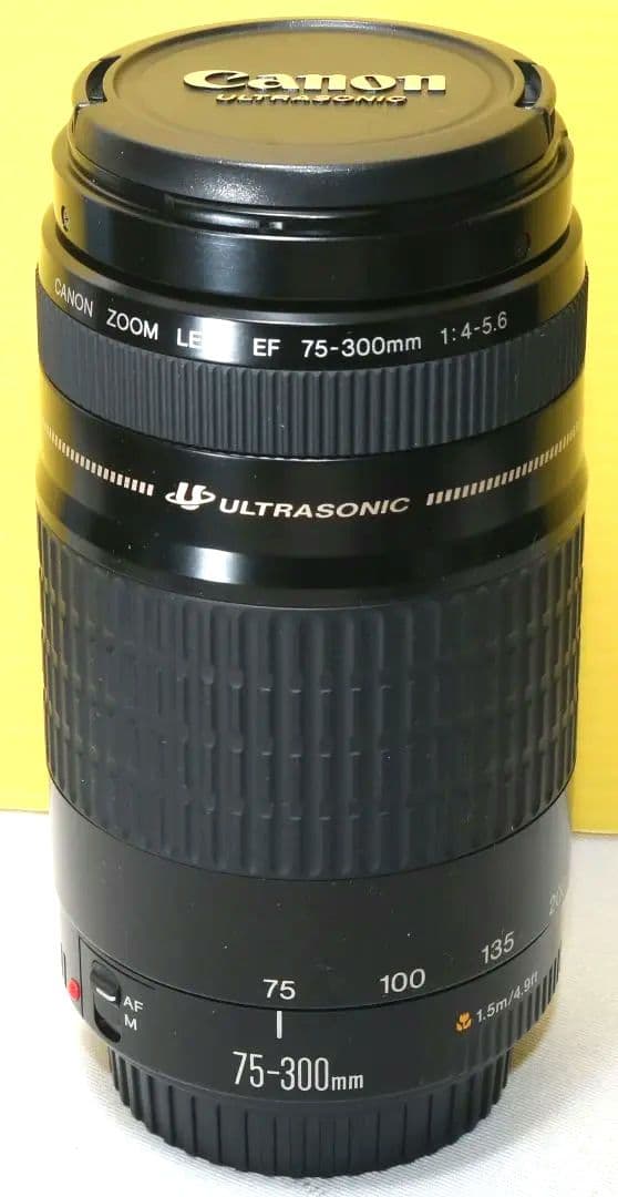 ⭐CANON EF 75-300mm F4-5.6 レンズ ⭐送料無料❤️美品