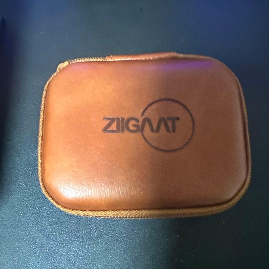 イヤホン ZIIGAAT LUNA