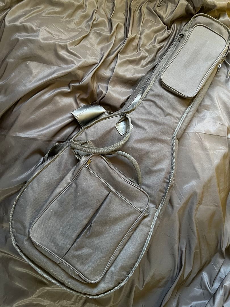 Epiphone/エピフォン/FT-79/TEXANS/テキサン/エレアコ美品