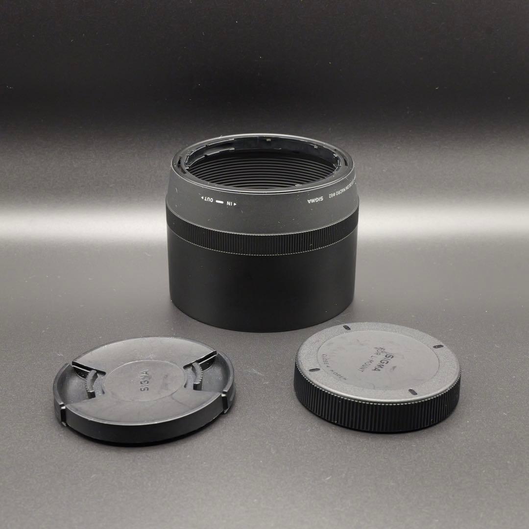 SIGMA 105mm F2.8 DG DN MACRO Art Lマウント用