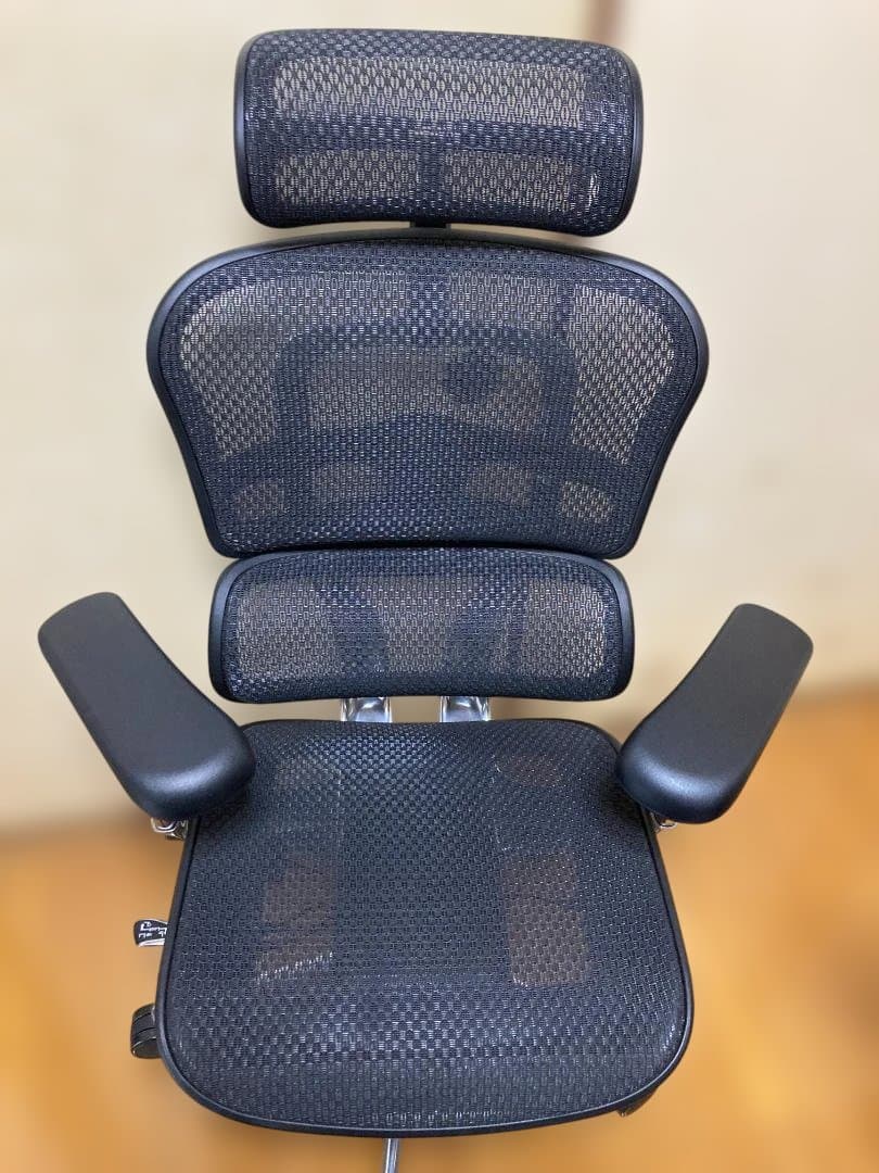 Ergohuman PRO2 High エルゴヒューマン プロ２