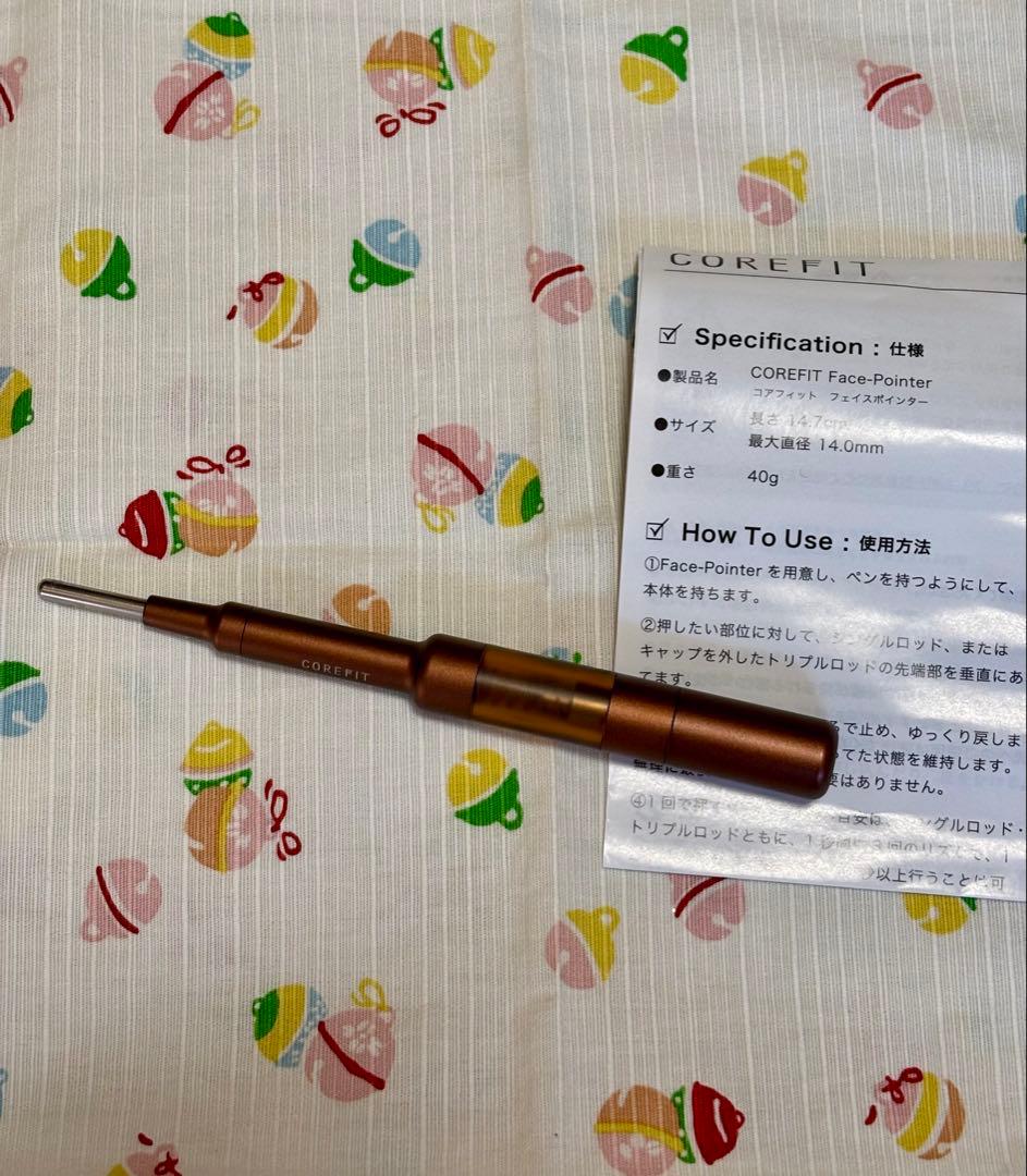 フェイスポインター★CORE FITT FACE POINTER ポス美顔器