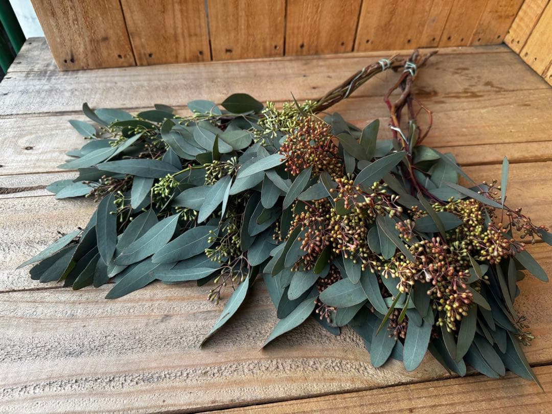 hoccri*様 リクエスト 4点 まとめ商品