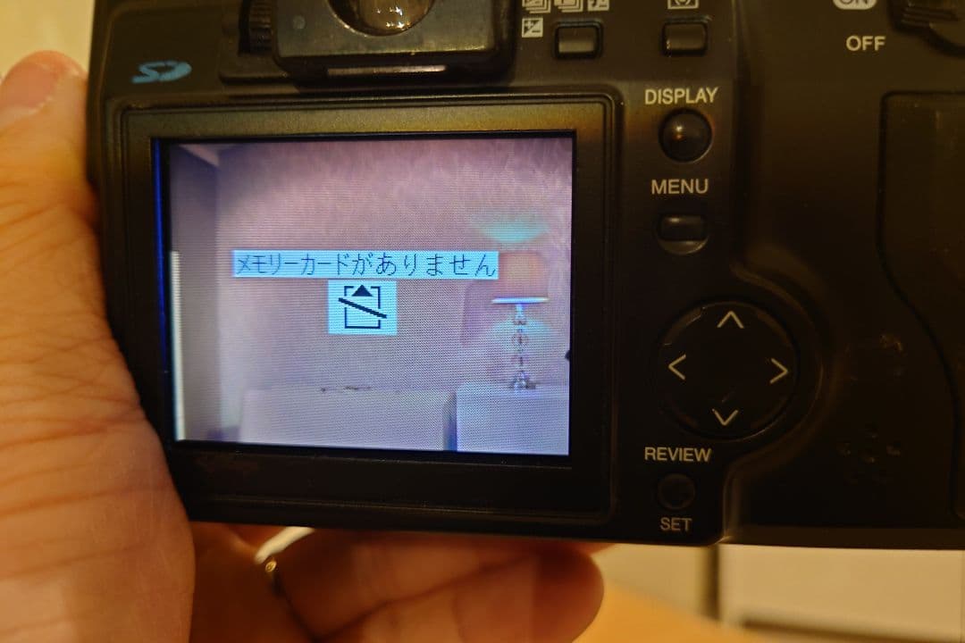 【超希少】Panasonic　LUMIX　DMC LC5　パナソニック