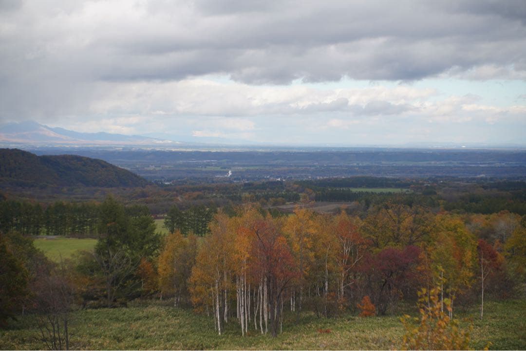 Leica Leitz Hektor 73mm F1.9 L39マウント