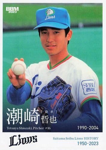 go.go.lions 支給 美品 西武ライオンズ 潮崎哲也 ユニフォーム