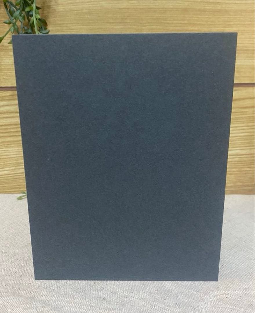 【希少品】cogu no mori（こぐのもり） trim &twing 置物