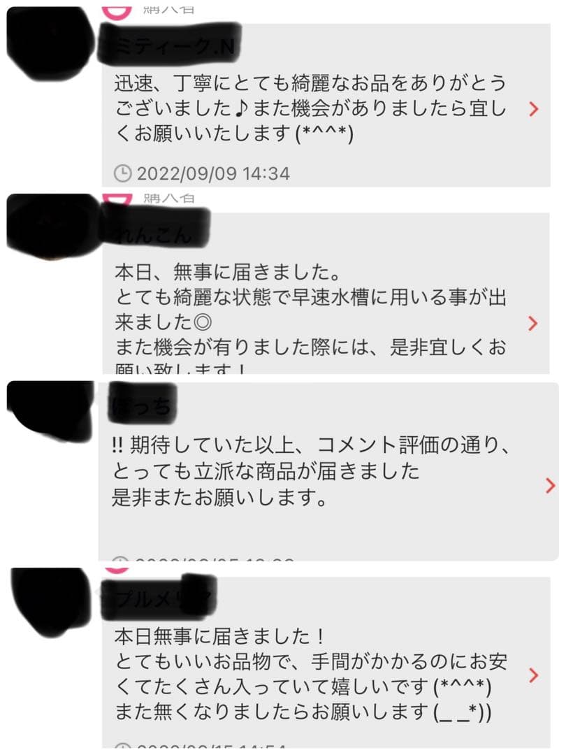 沖縄県やんばる産マジックリーフ 1kg UV殺菌灯照射済み⑤