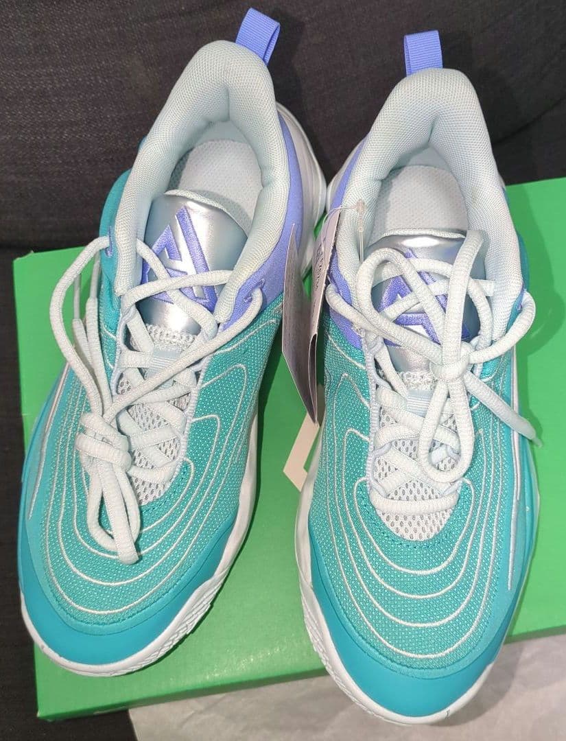 新品　ナイキ　ヤニス イモータリティ 4 EP　23cm　(完売色)　バッシュ