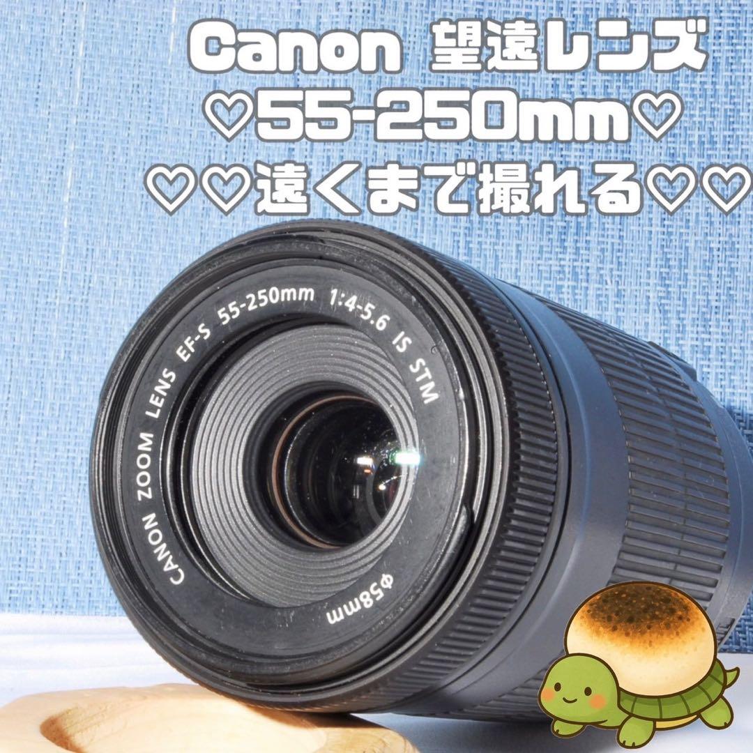 ✨手振れ補正機能付✨EF-S 55-250mm f/4-5.6 IS STM Ⅱ