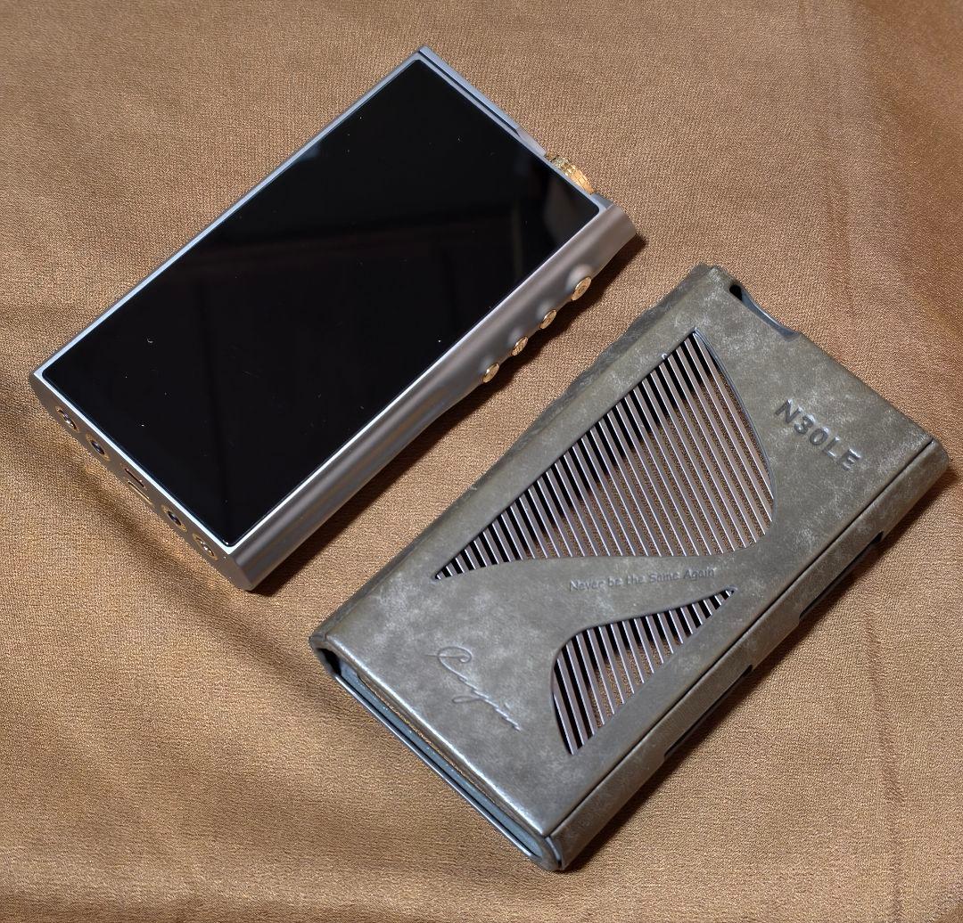 【美品】 Cayin N30LE カスタムメイドケース等3個オマケ付き 【レア】