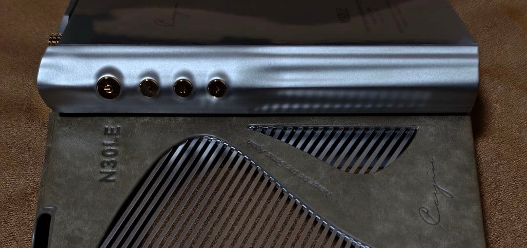 【美品】 Cayin N30LE カスタムメイドケース等3個オマケ付き 【レア】