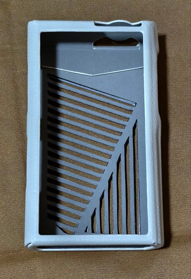 【美品】 Cayin N30LE カスタムメイドケース等3個オマケ付き 【レア】