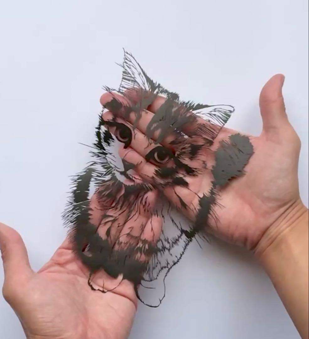 ス*ル様 【原画】切り絵『スコティッシュフォールド』　アート　絵画　額縁　猫　イ