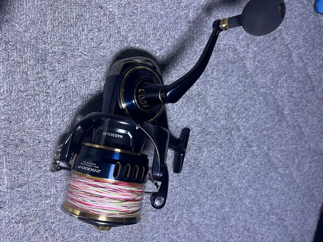 ダイワ ソルティガ 25000Pの出品です。