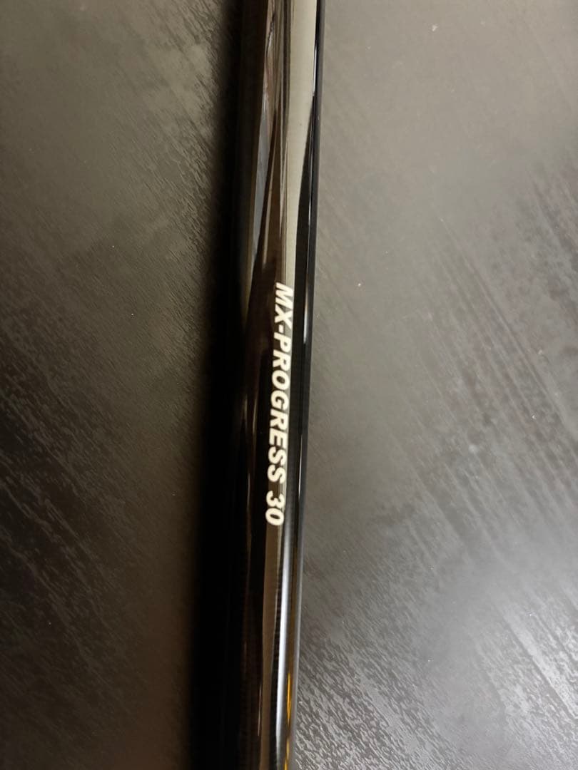 ロッド MX-PROGRESS 30 (Dear Monster)