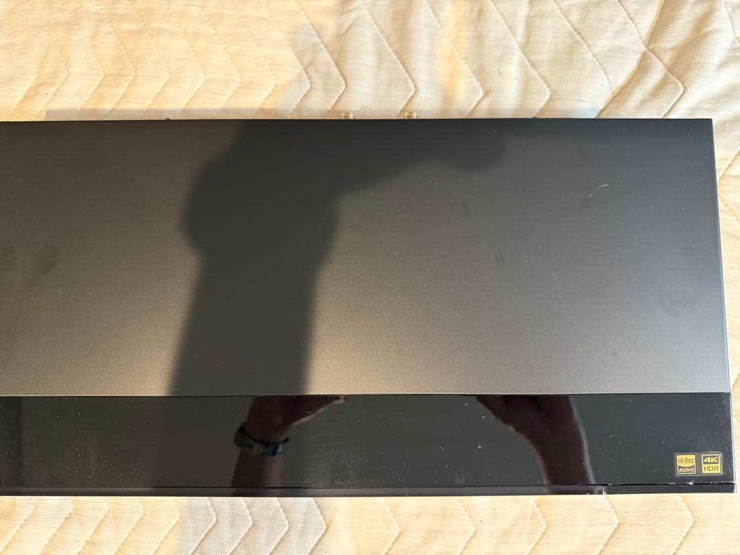 BDZ-FBW2100 2TB ソニーストア明細付き