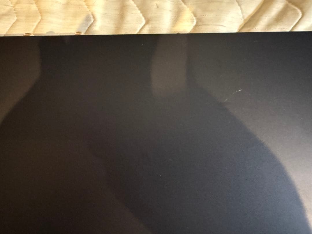 BDZ-FBW2100 2TB ソニーストア明細付き