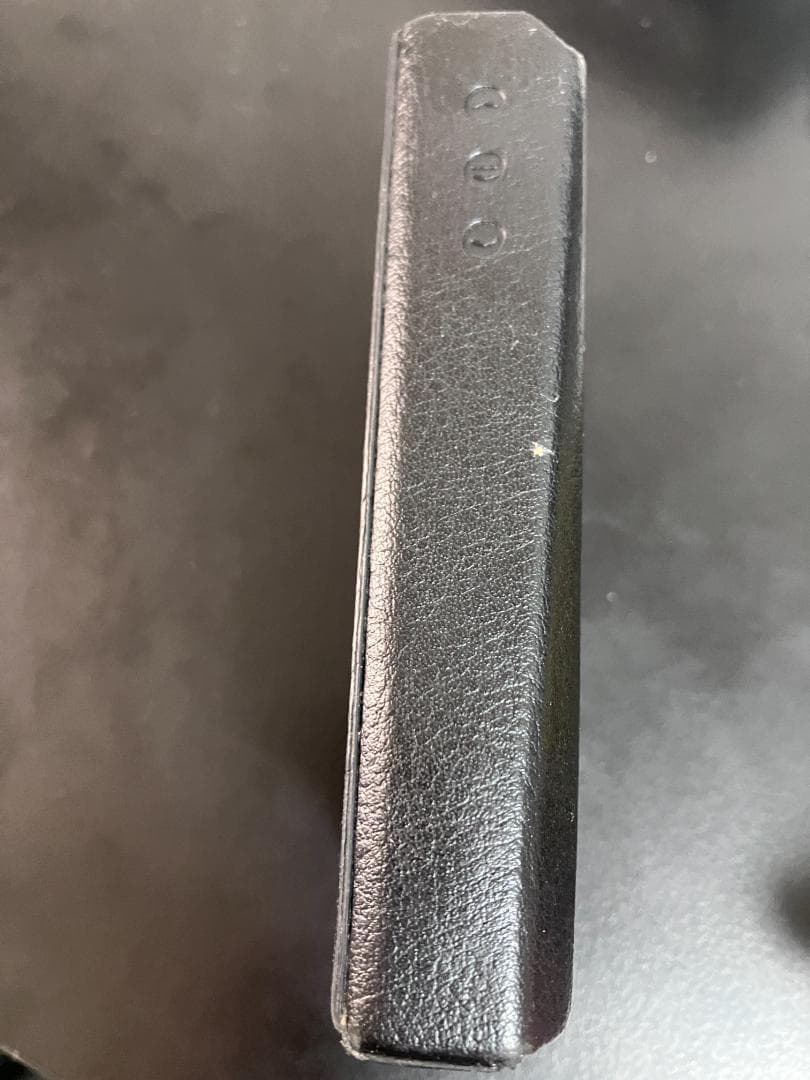 Astell&Kern A&norma SR15 ケース付き ダークグレー