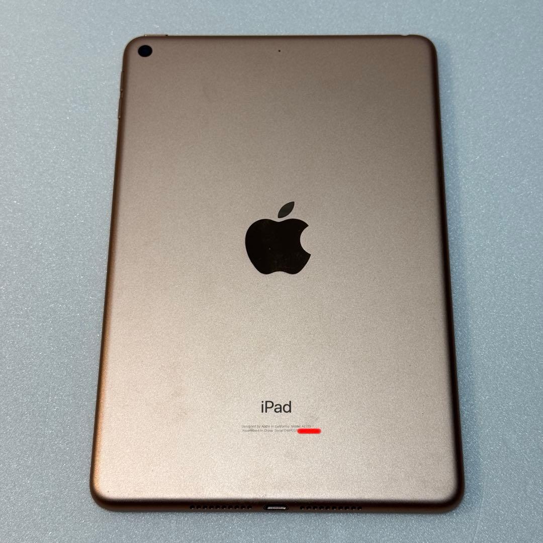 iPad本体 iPad mini 5 256GB, Wi-Fi