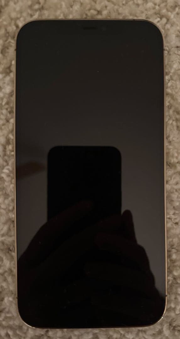 iPhone 12 ProMax 128GB ゴールド SIMフリー おまけ付き