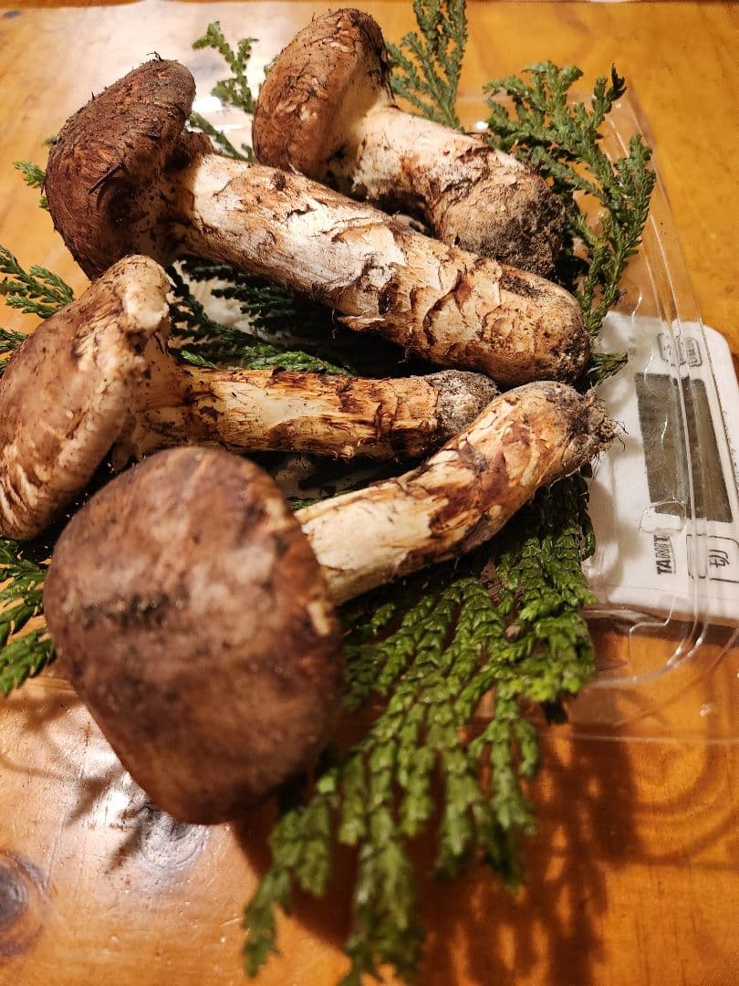 北海道産松茸　288g