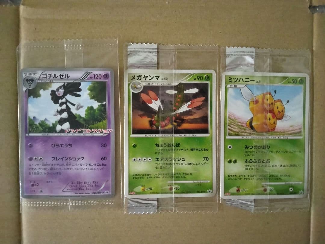 ✔ポケモンカード　プロモ12枚　草エネルギーリストバンド【未開封品】セット