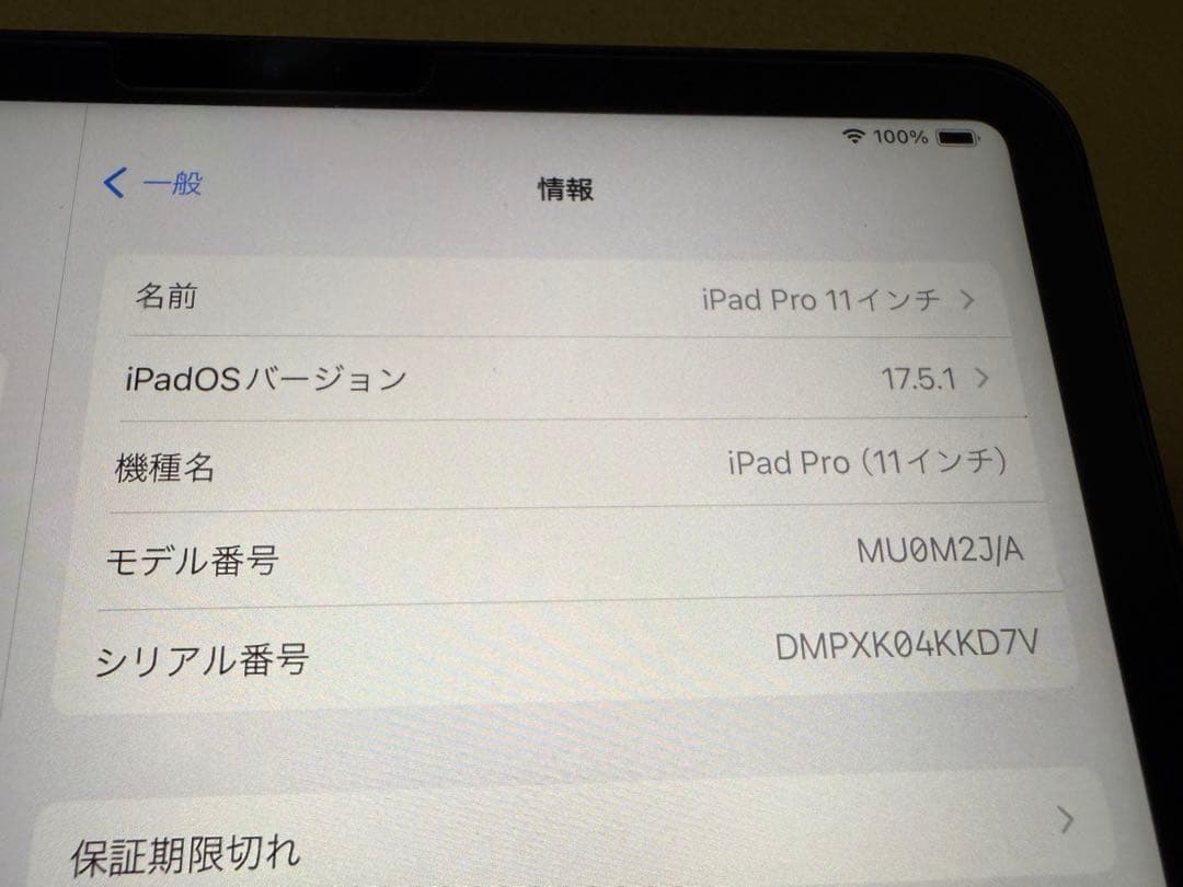iPad Pro 11インチ 第1世代 64GB セルラーモデル (おまけ付き)