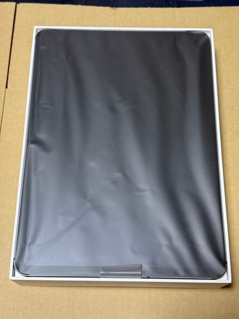 iPad Pro 11インチ 第1世代 64GB セルラーモデル (おまけ付き)