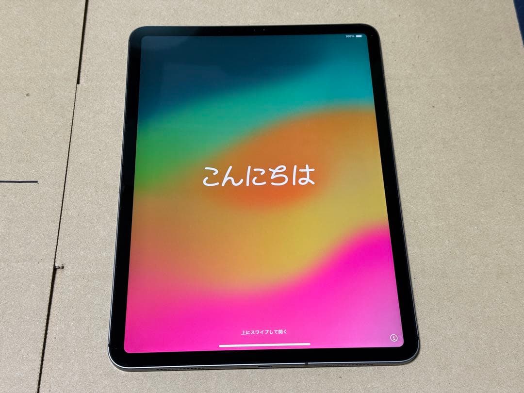 iPad Pro 11インチ 第1世代 64GB セルラーモデル (おまけ付き)