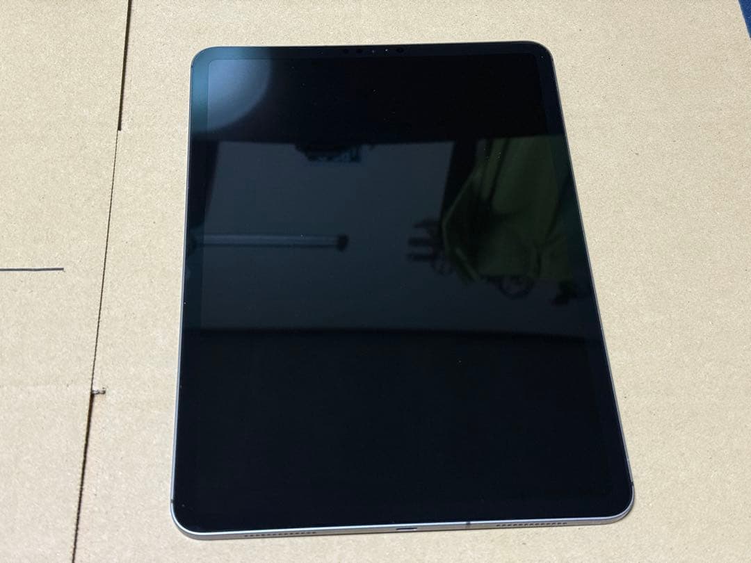 iPad Pro 11インチ 第1世代 64GB セルラーモデル (おまけ付き)