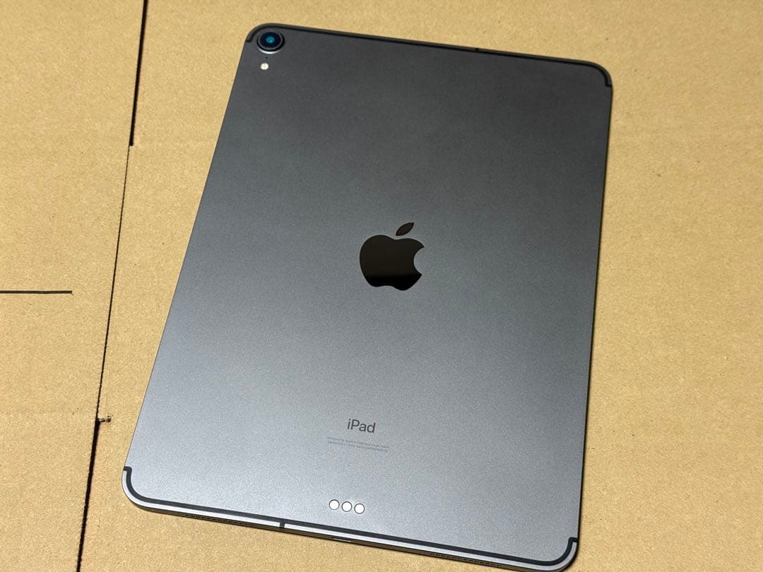 iPad Pro 11インチ 第1世代 64GB セルラーモデル (おまけ付き)