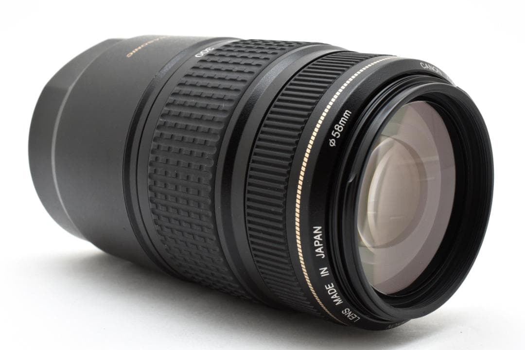 Canon EF 75-300mm F4-5.6 IS USM 望遠レンズ