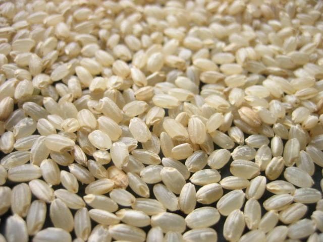 関東　一都六県　送料無料　令和６年　新米　玄米　つきあかり　20kg　/　訳あり