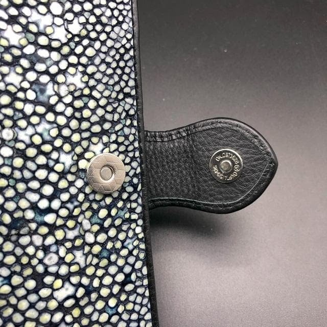 【受注生産品】 スタースティングレイ iPhone 16 Pro Max ケース