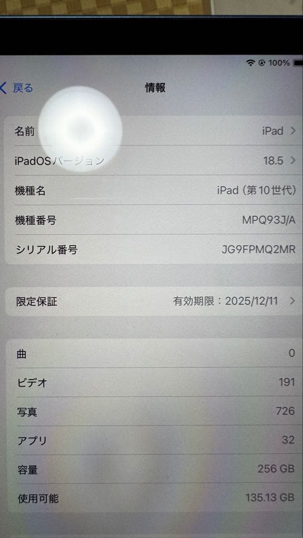Apple iPad (第10世代) ブルー 256GB