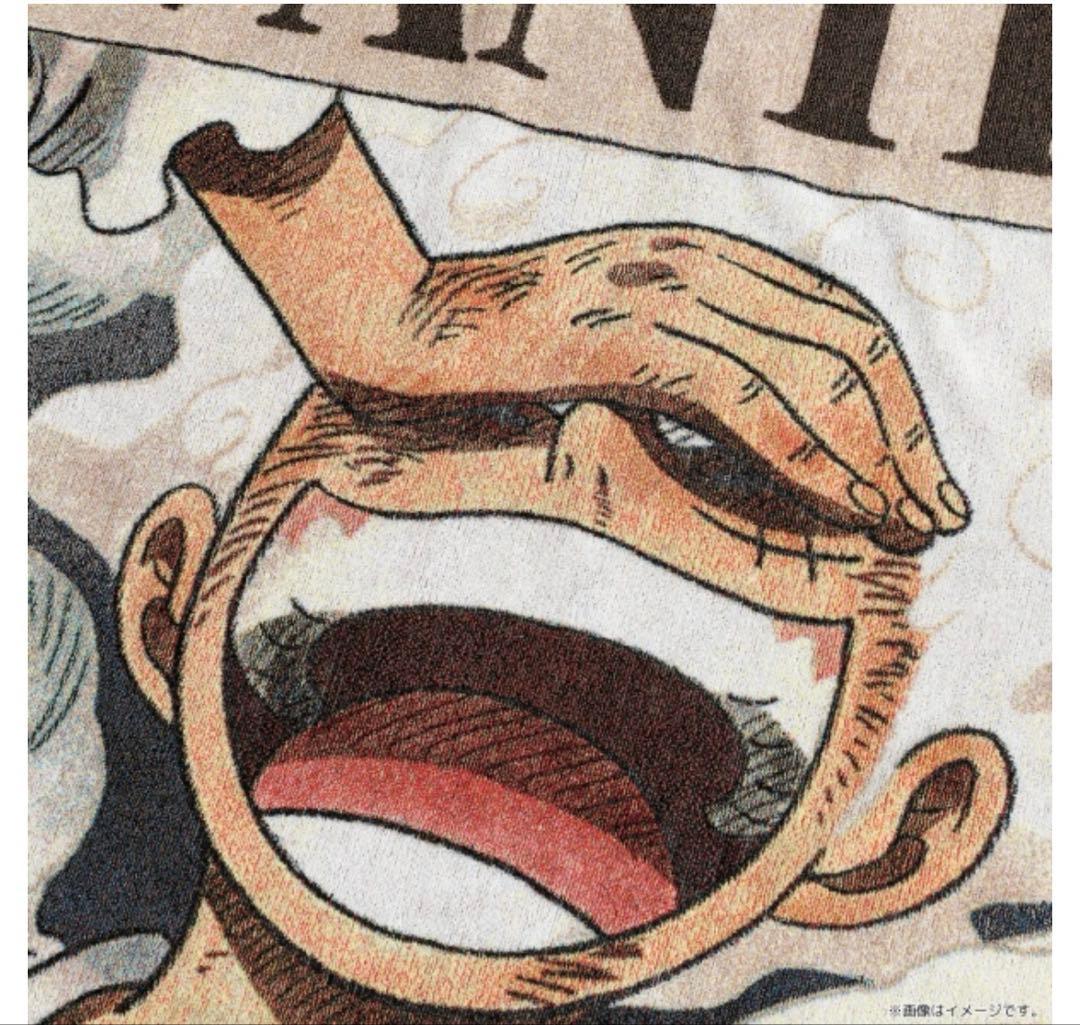 【ワンピース】五彩織り ビッグタオル ＜手配書＞