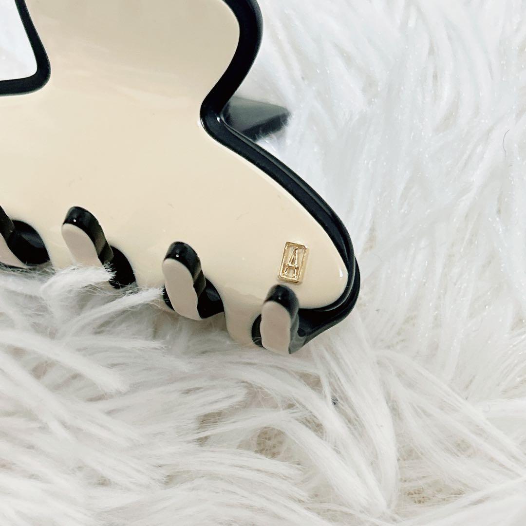 ALEXANDRE DE PARIS ヘアクリップ LISERAI 完売　S
